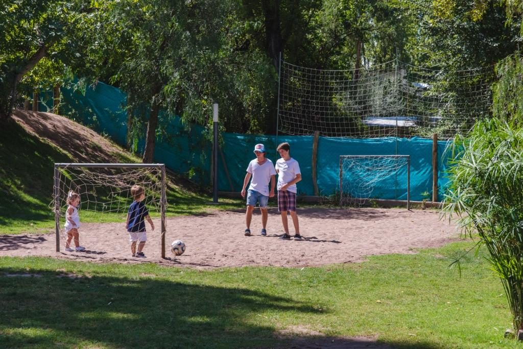 Cancha